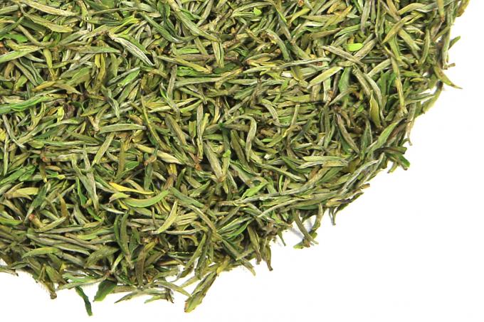 Φρέσκα πράσινα φύλλα τσαγιού επεξεργασίας, κίτρινο πράσινο τσάι χαλαρών φύλλων βουνών