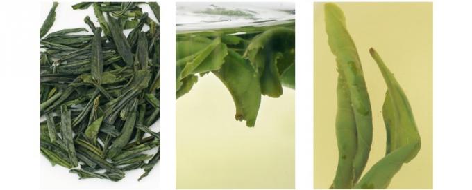 πράσινο Anhui Liu ένα ισχυρό πράσινο τσάι Gua Pian βελτιώνει τις καταστάσεις δυσπεψίας